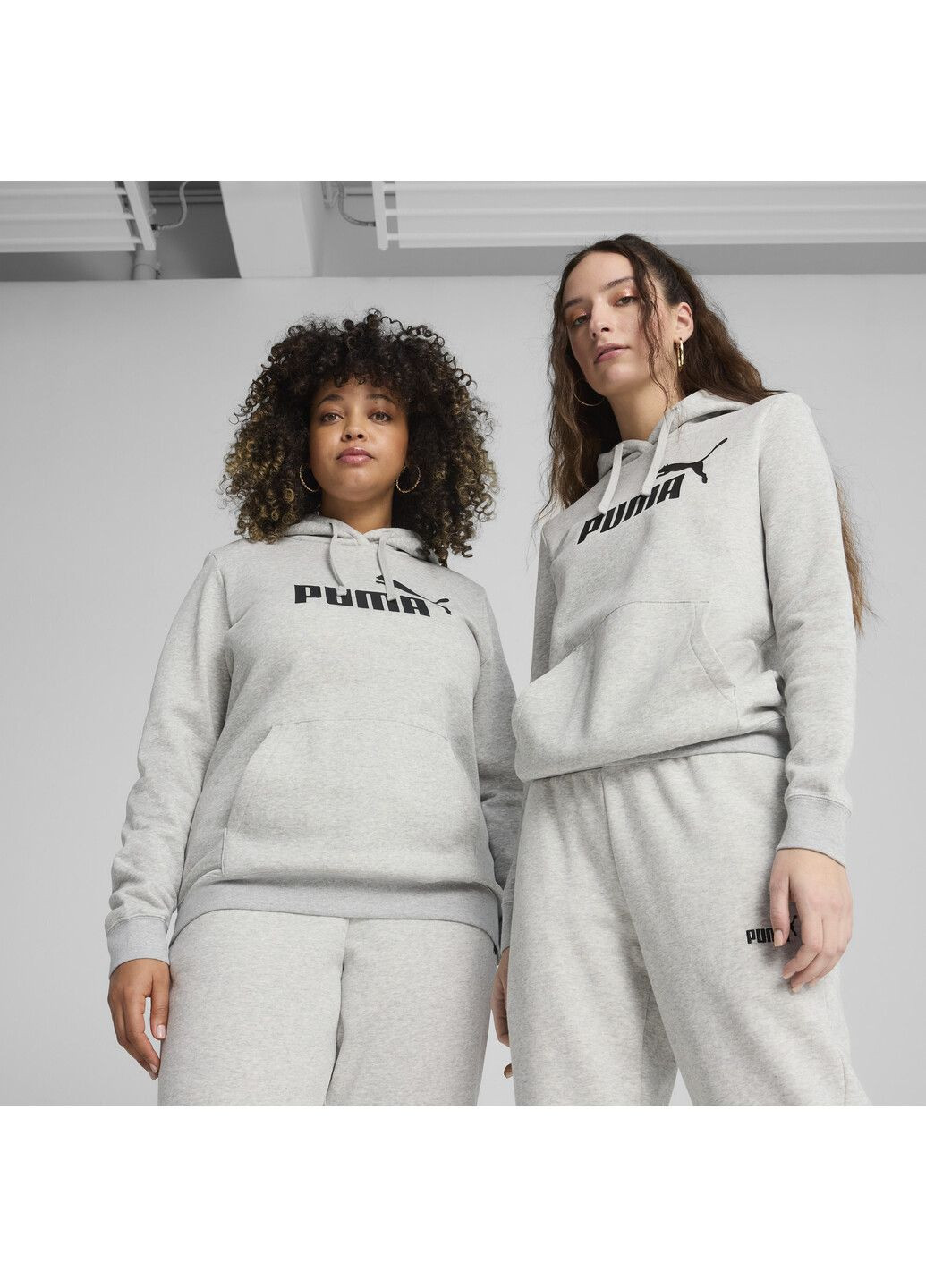 Худи ESS No. 1 Logo Hoodie Women Puma (351480571)