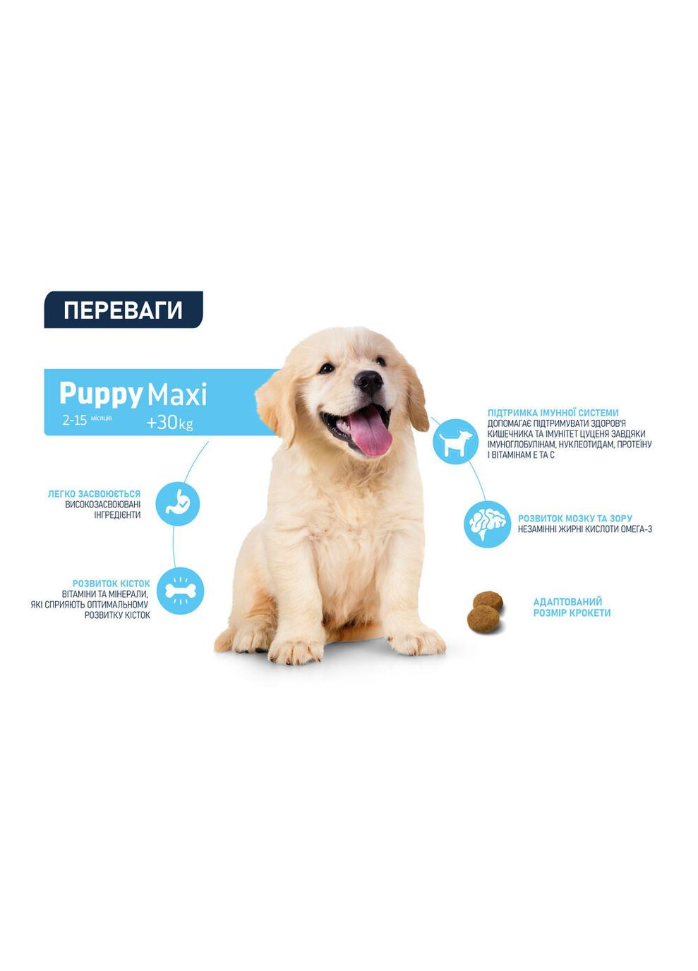 Dog Maxi Puppy Сухий корм для цуценят великих порід з куркою та рисом Advance (372159013)