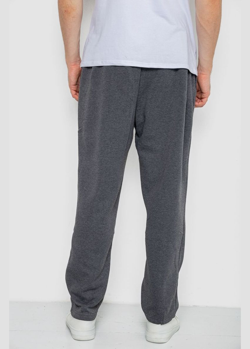 Темно-серые спортивные демисезонные брюки Ager