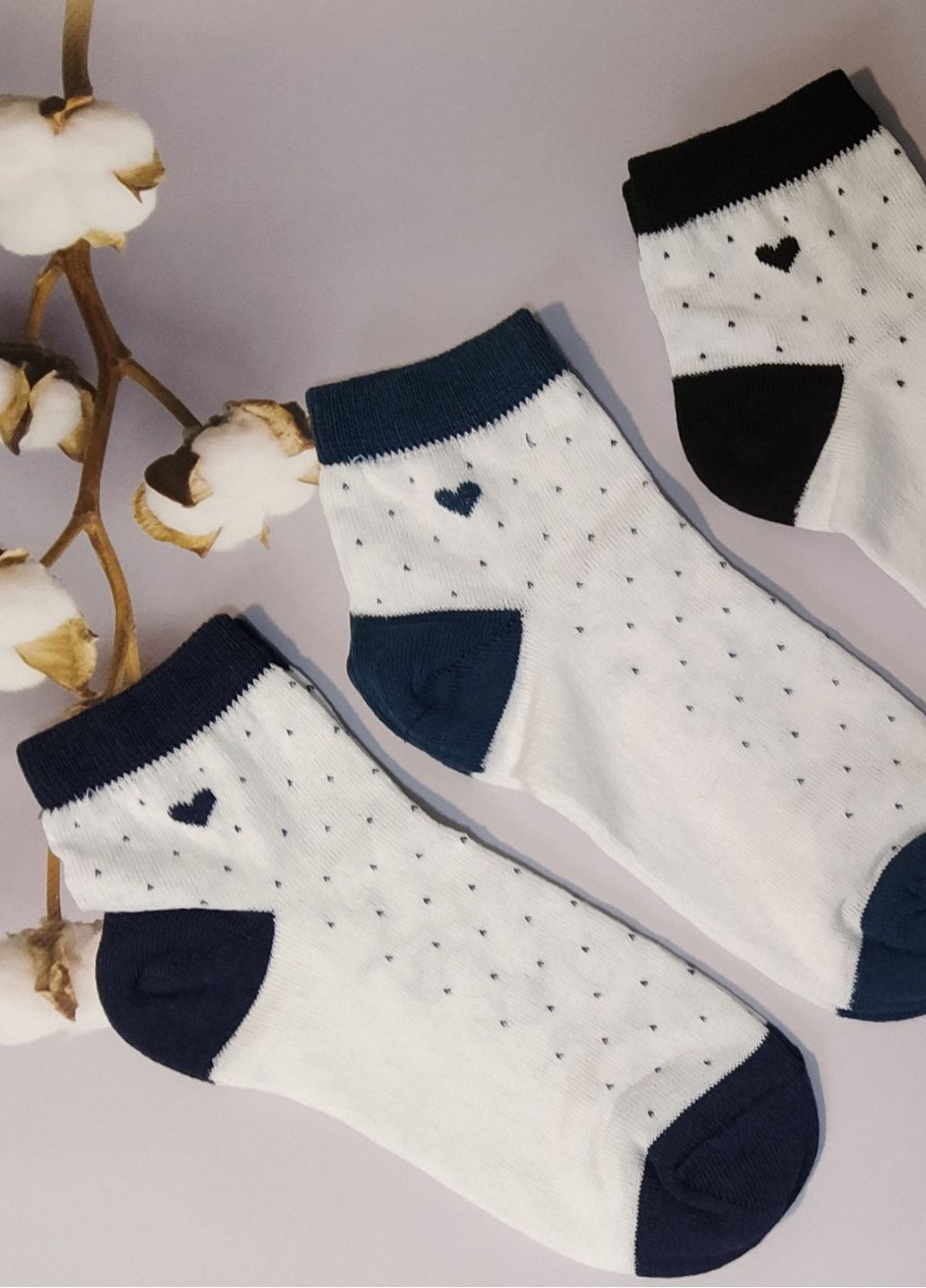 Белые носки короткие 6 пар житомир ws 219/6 р.36-40 XTeam сердечки (352503900)