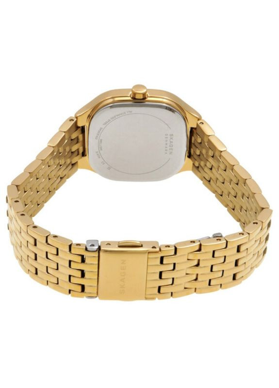 Женские наручные часы SKW3162 Skagen (368297604)