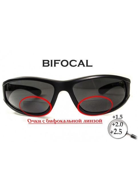 Бифокальные поляризационные защитные очки 3в1 Winkelman-2 (+2.0) Polarize (gray) серые BluWater (369932005)