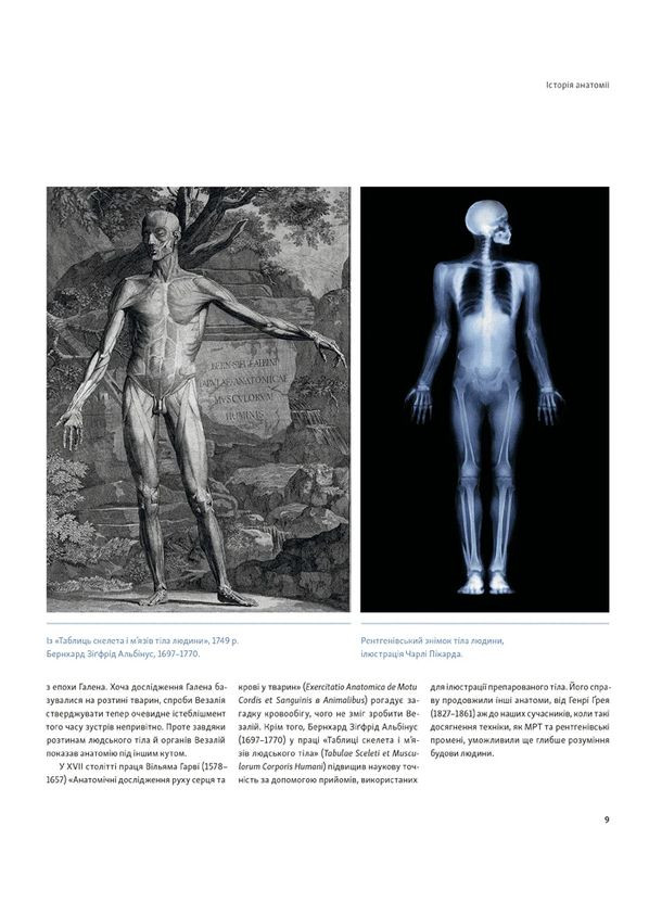 Анатомия художников. Наглядное руководство по изображению человеческого тела ArtHuss (370068656)
