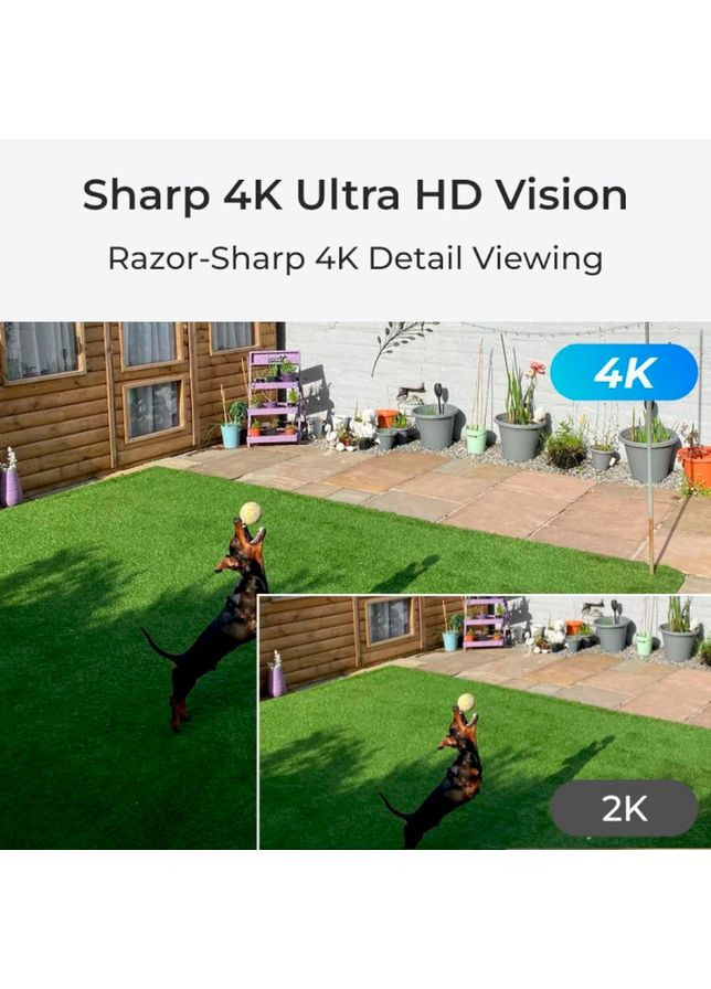 IP-камера P437 Reolink (324835113)