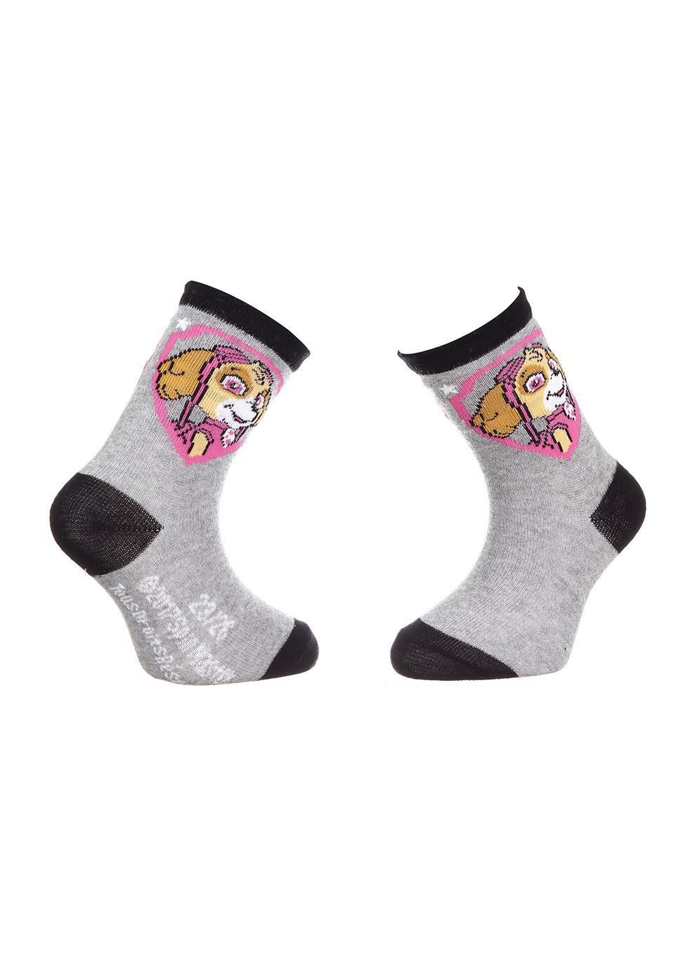 Носки Everest gray Paw Patrol (333956655)