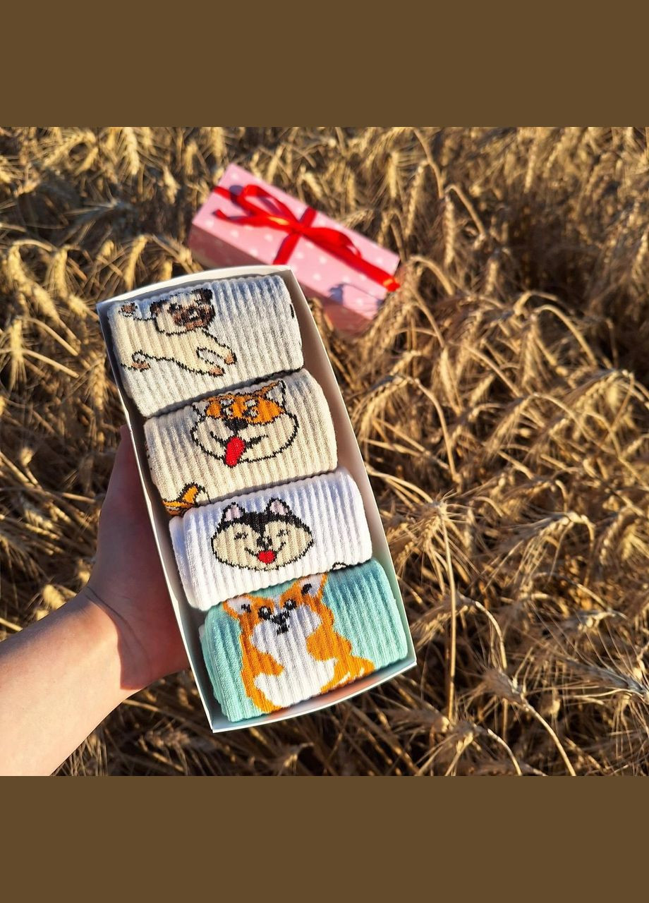 Комбинированные бокс женских высоких качественных носков "собачки" 36-41 на 4 пары в подарочной коробке Vakko (308336831)