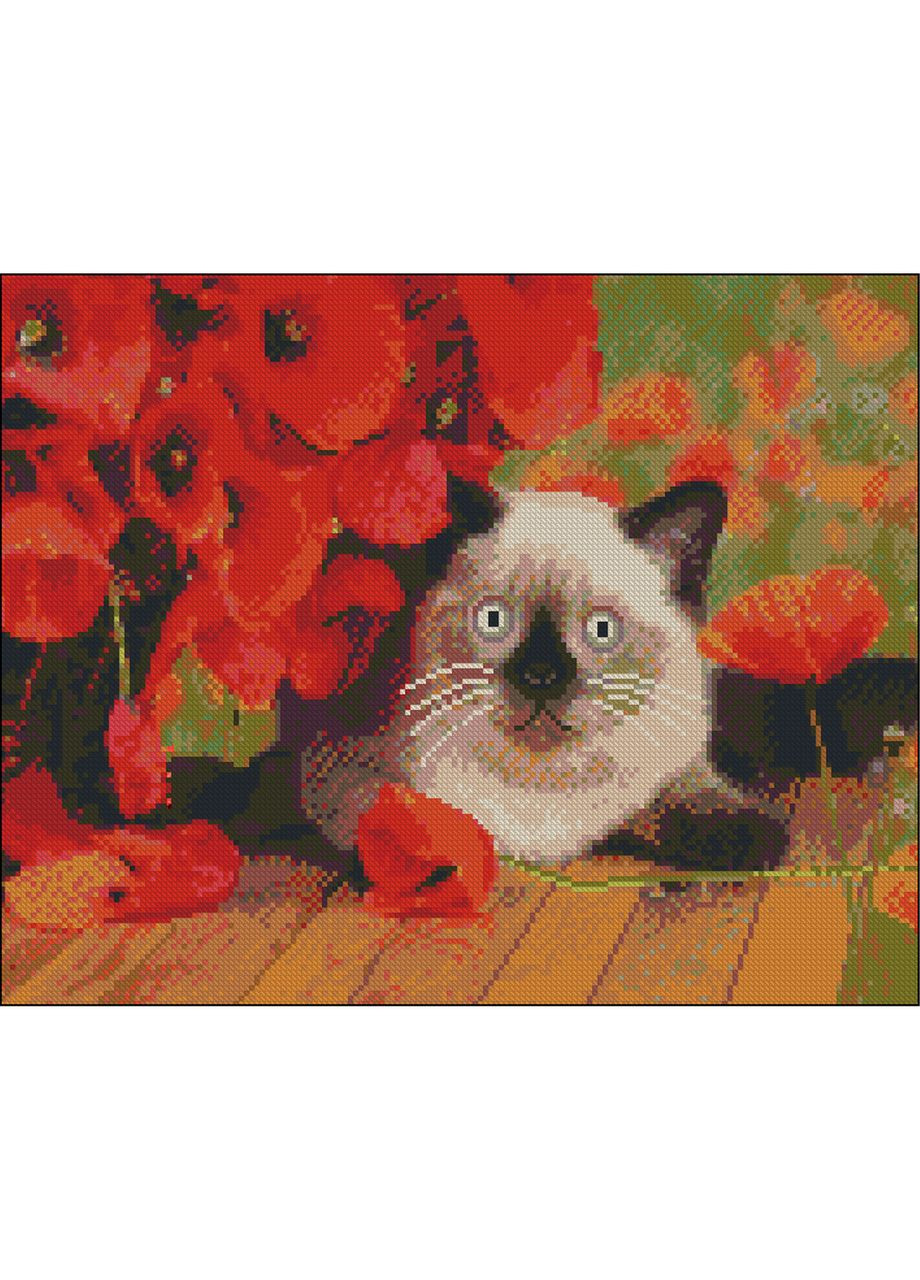 Алмазна мозаїка ПРЕМІУМ Кіт і маки без підрамника розміром см (ZAV4050-32) Strateg (362438766)
