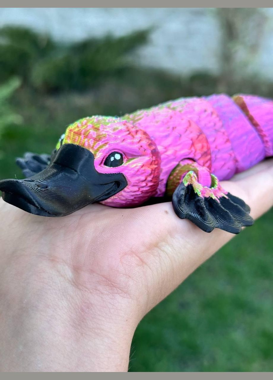 КАЧКОНОСИ 🥰 No Brand (339042713)