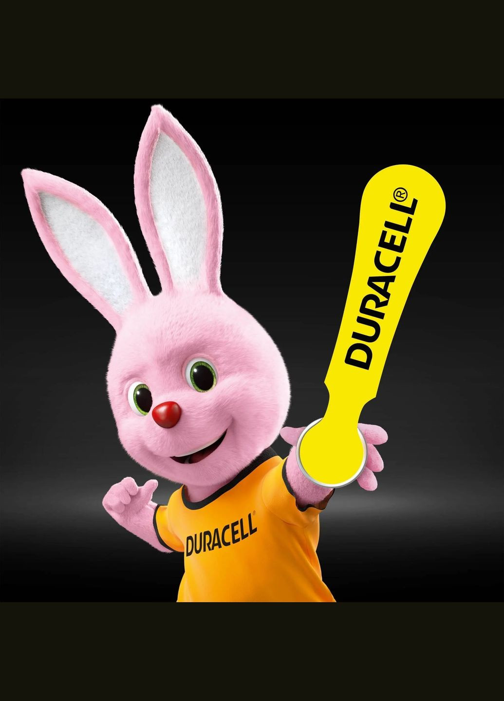 Батарейки для слухових апаратів Hearing Aid, р.10, 6 шт. Duracell (328309028)