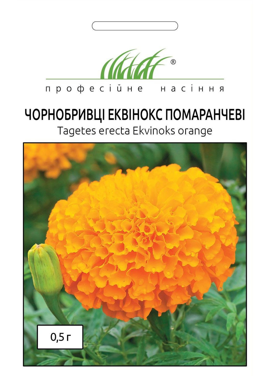 Насіння Чорнобривці Еквінокс помаранчеві 0,5 г Професійне насіння (278593839)