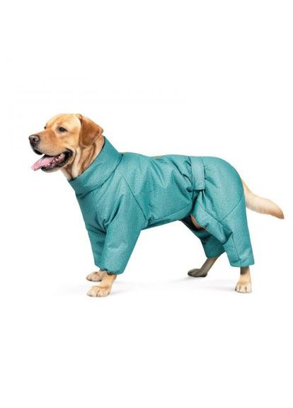 Комбінезон «Cold» для собак, розмір XS, бірюза Pet Fashion (333020553)