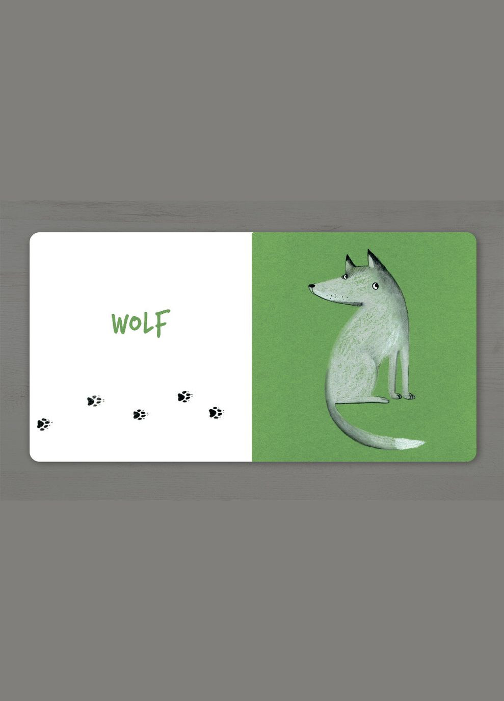 Книга Собери радугу. Сделать рейнбоу. Forest animals. Автор - Екатерина Таберко ( ) (англ.) Artbooks (338879817)