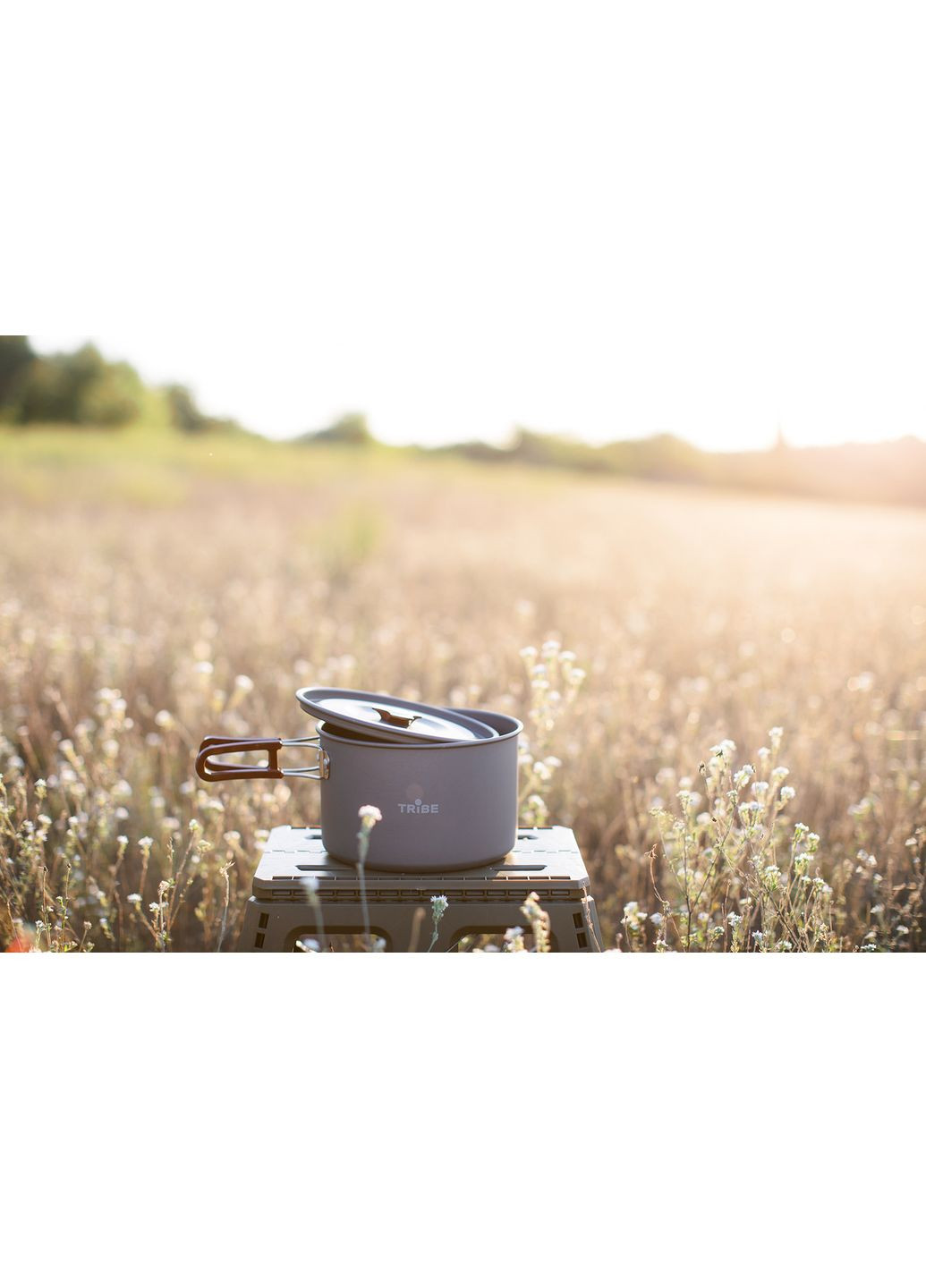 Котелок Pot 3 л Alu алюминиевый T-FH-0015-grey Tribe (368703625)