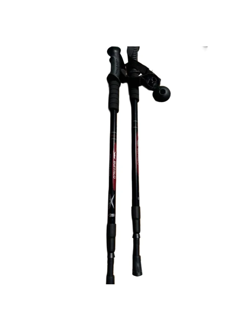 Палки для скандинавской ходьбы Черный Bavar Sport (362444730)