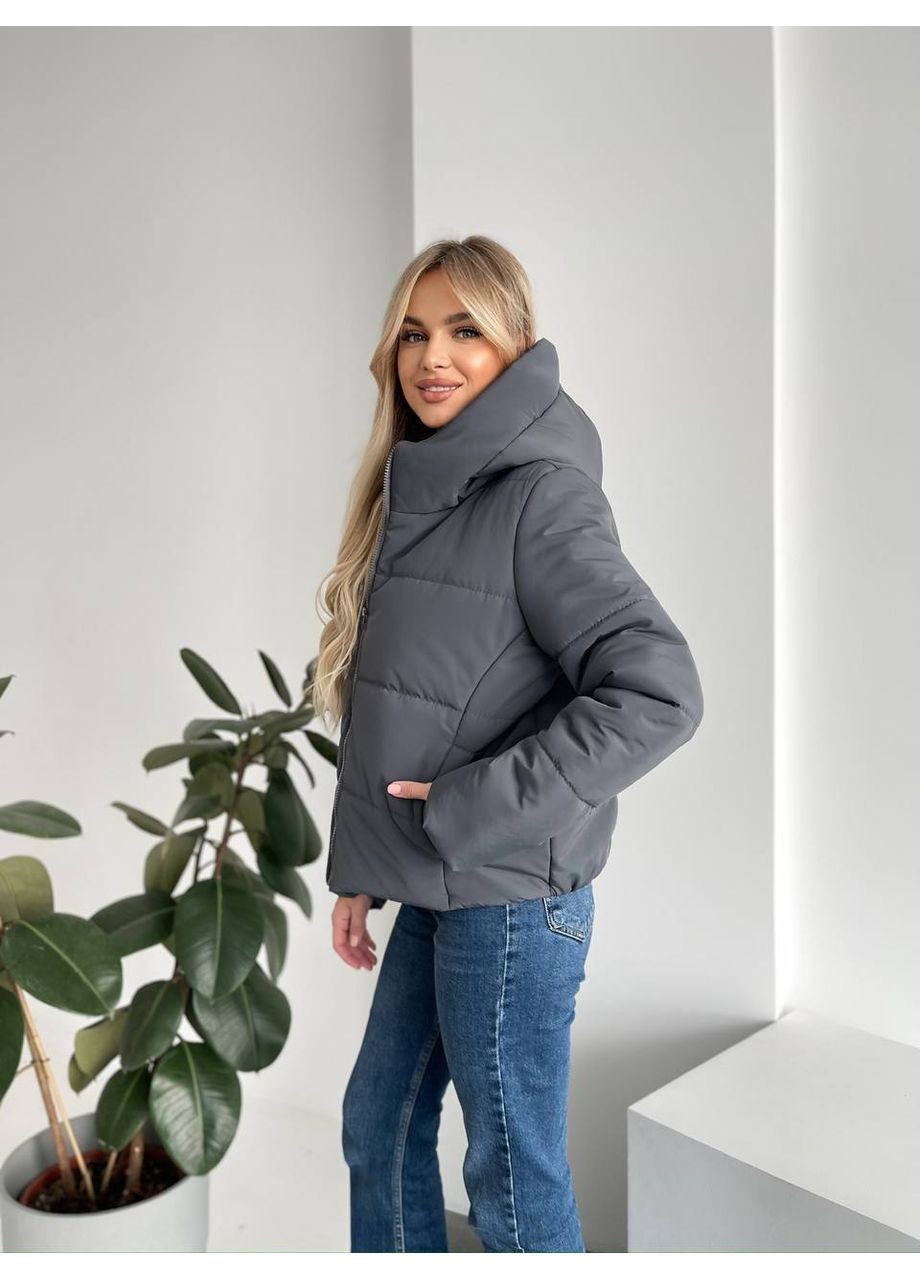 Графітова демісезонна куртка плащівка синтепон 200 топ якість No Brand