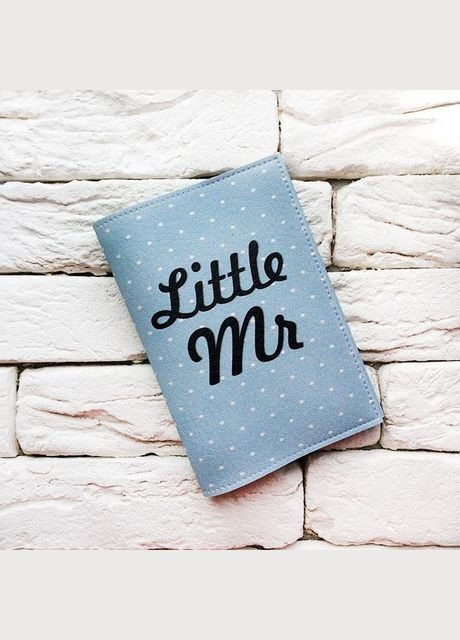 Обкладинка для паспорта Little Mr (блакитний) No Brand (301083525)