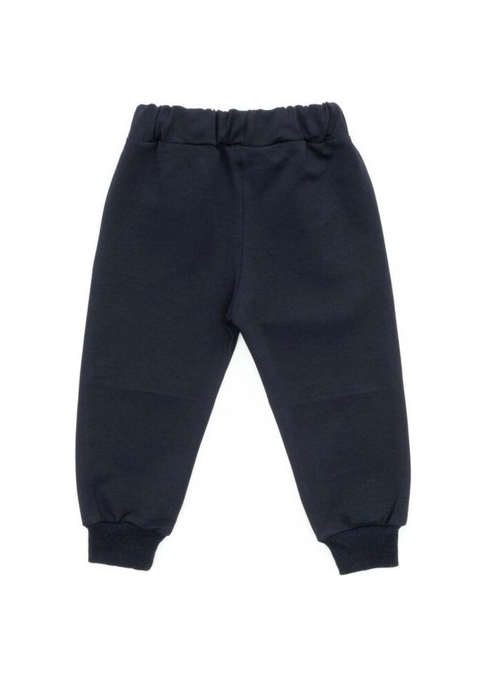 Темно-синие демисезонные брюки Joi