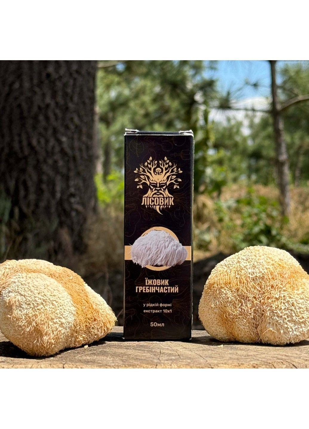 Жидкий экстракт Ежовика гребенчатого 30 мл Лесовик Лісовик (364210571)