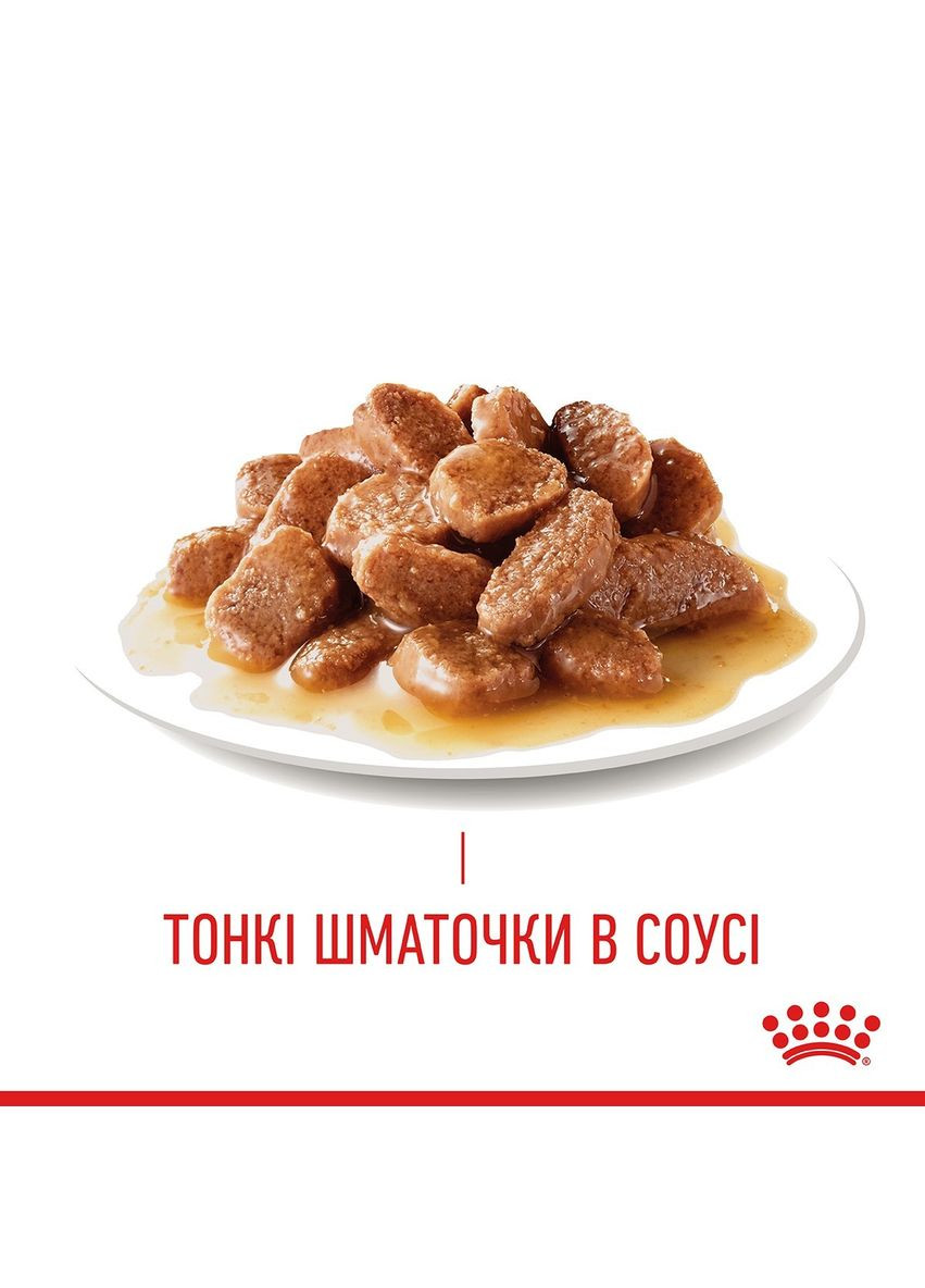 ПАК.Влажный корм для взрослых кошек HAIR&SKIN IN GRAVY (Соус) поддержание здоровья кожи и шерсти12шт по 85 г Royal Canin (317750901)