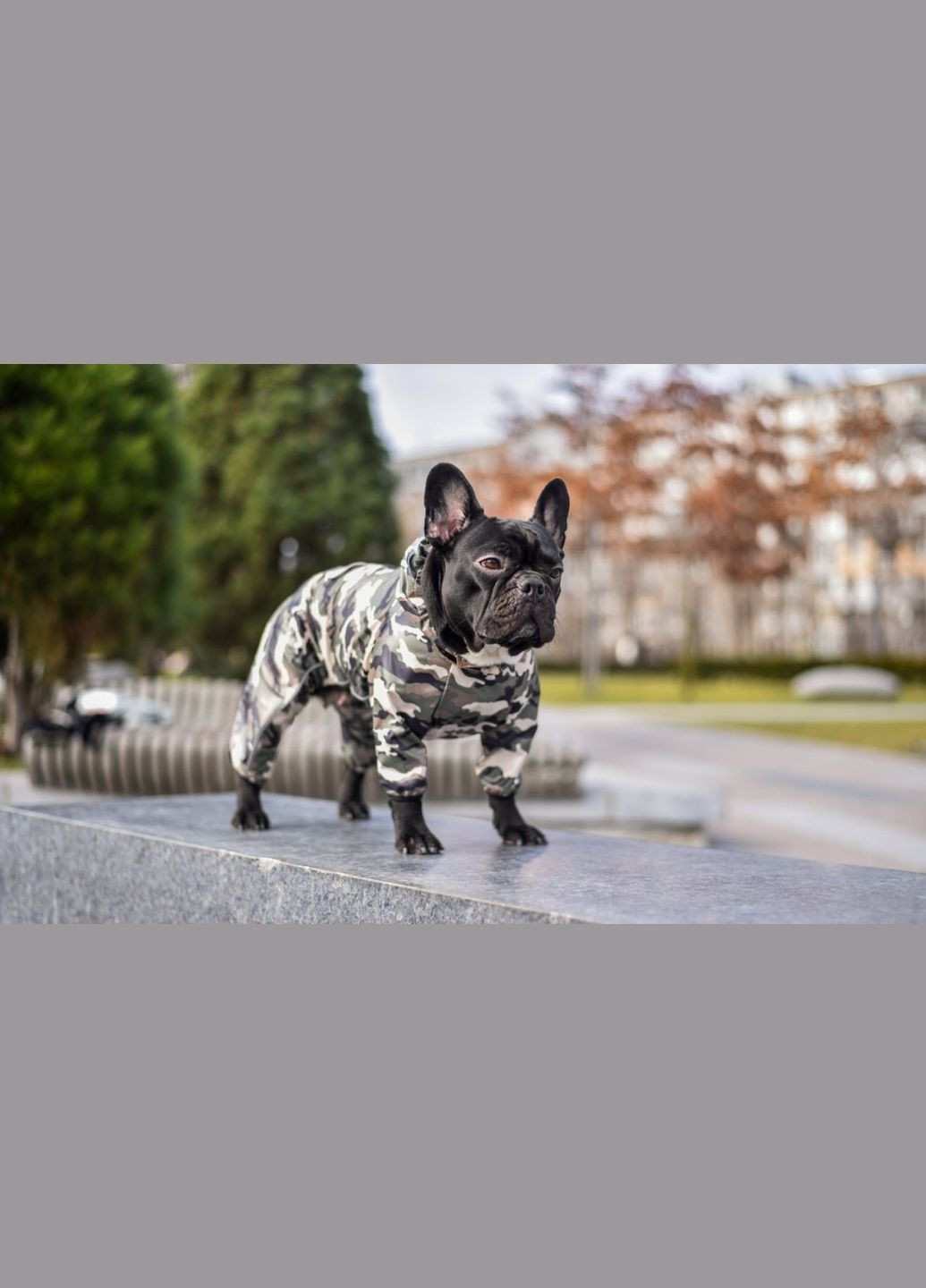 Комбінезон для собак Tactic Winter, (*) SmartPet (323153215)