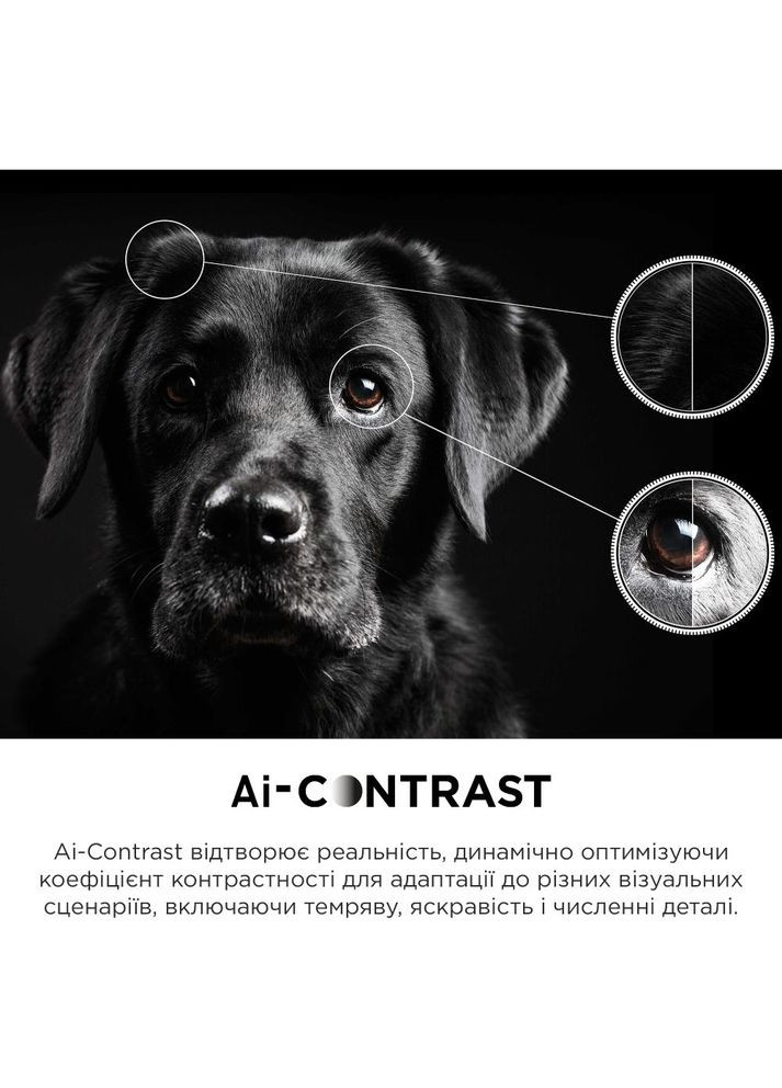 Телевизор 50C645 TCL (306528085)