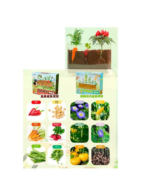 Набір для творчості: грунт, насіння, ємність (пластик) 21-13-4 см, в коробці (709757) No Brand (368029528)