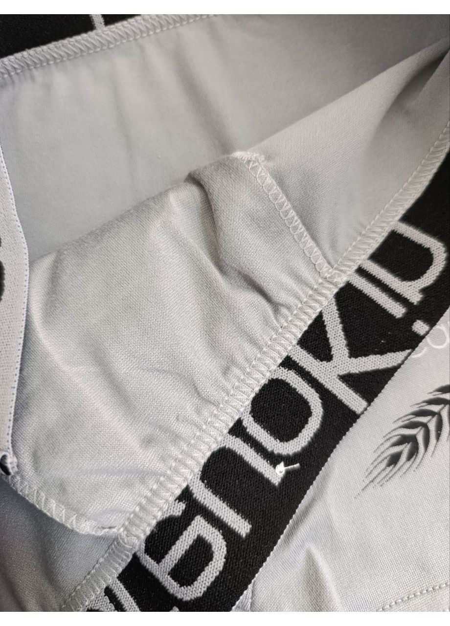 Чоловічі труси - боксери,, розміри від XL до 3XL CAREUOKIN (364927114)