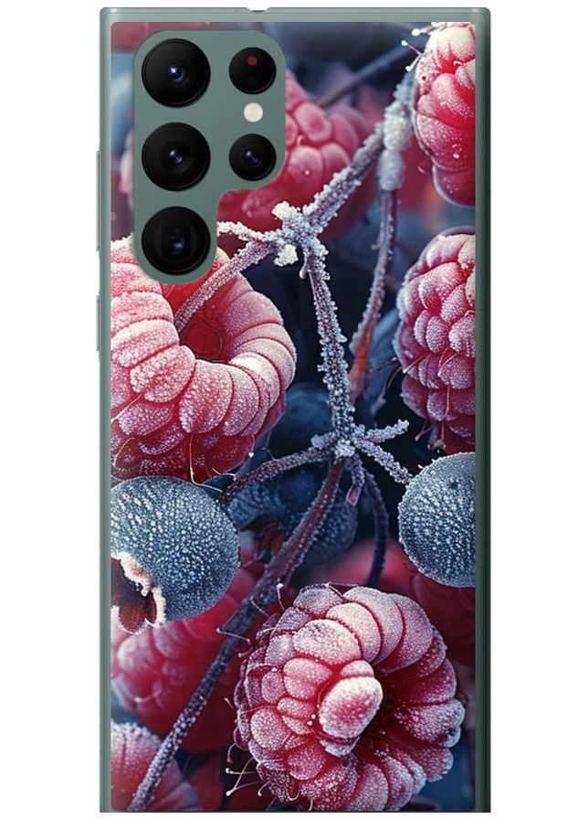 Силиконовый чехол 'Морозные ягоды' для Endorphone Samsung Galaxy S22 Ultra (285109585)