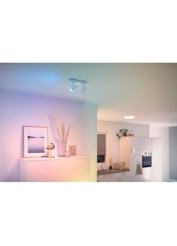 Умный светильник IMAGEO Spots накладной точечный 2x5W 2200-6500K RGB Wi-Fi White (929002658801) WiZ (322913418)