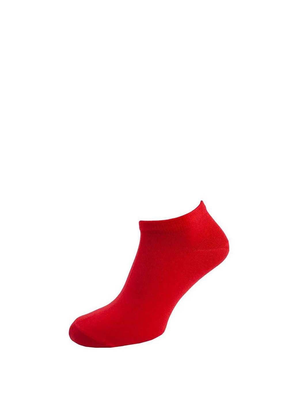 Шкарпетки чоловічі кольорові з бавовни короткі MAN's SET (290705812)