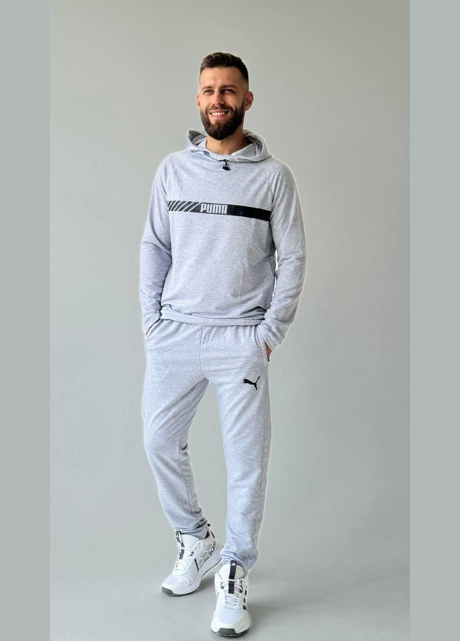 Чоловічий спортивний костюм Puma світло-сірий No Brand (353848852)
