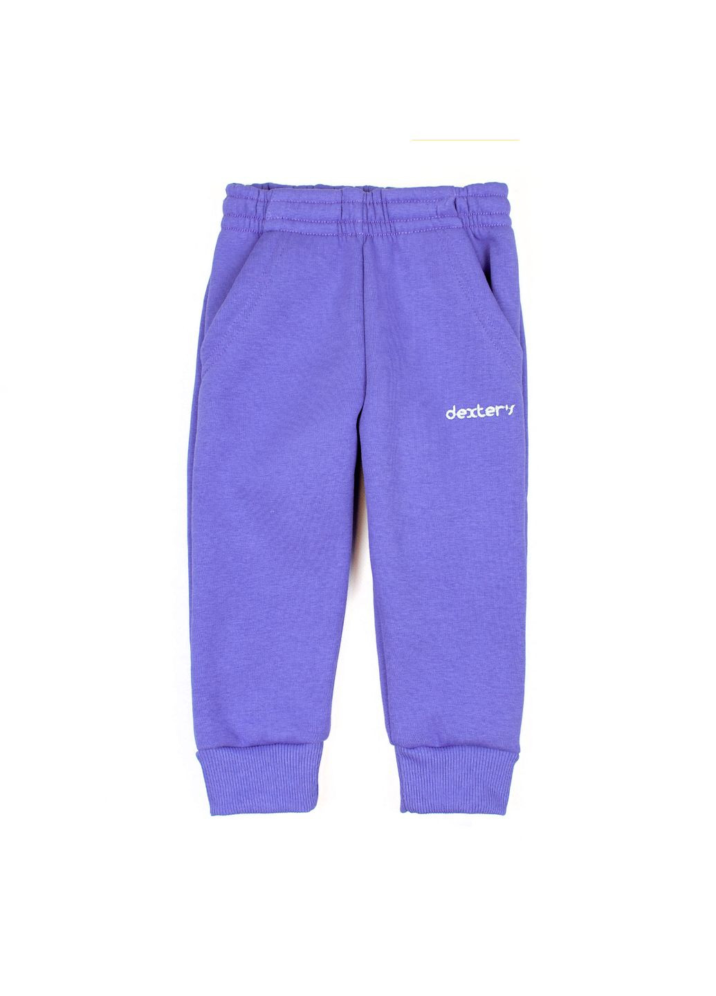 Дитячі штани з кишенями тринитка violet Dexter`s Фіолетовий dexter's (279760837)