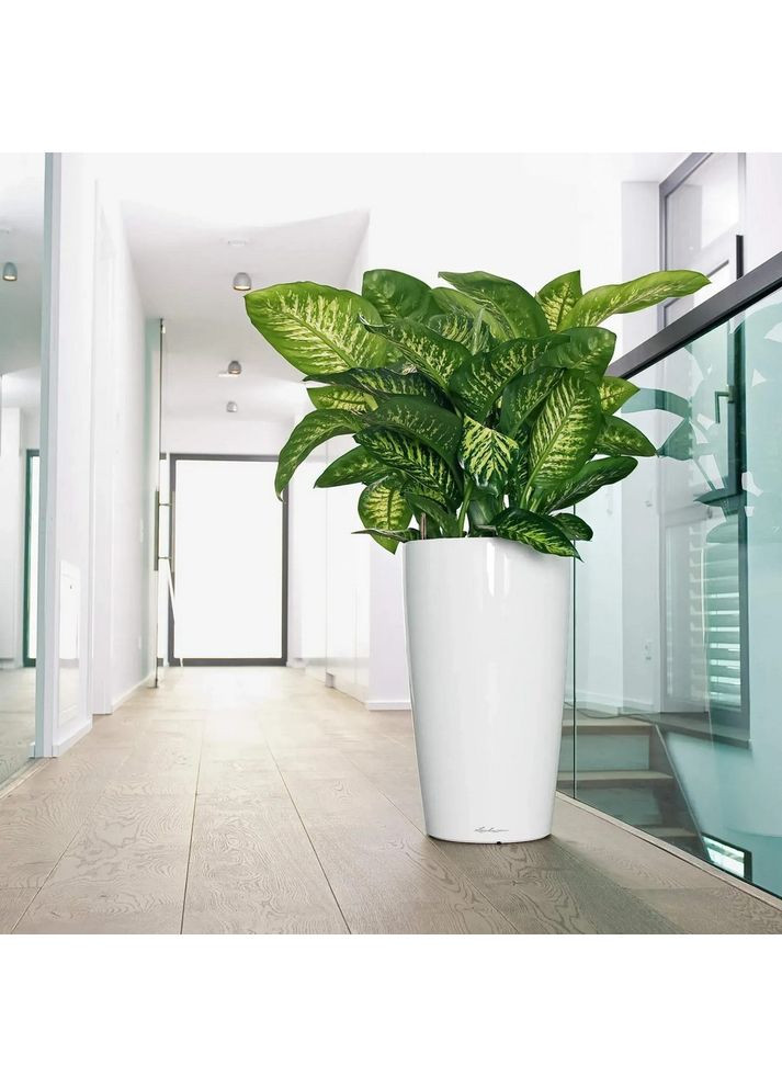 Кашпо Rondo 32 біле матове 15786 Lechuza (351346646)