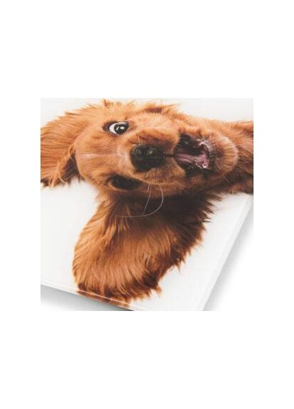 Весы напольные ZBS1010 Zelmer (347582513)