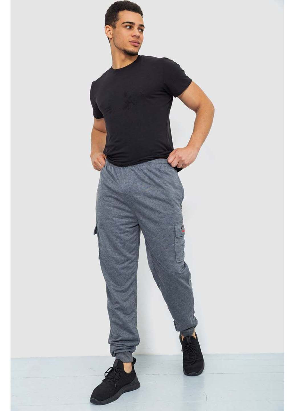 Серые спортивные демисезонные брюки Ager