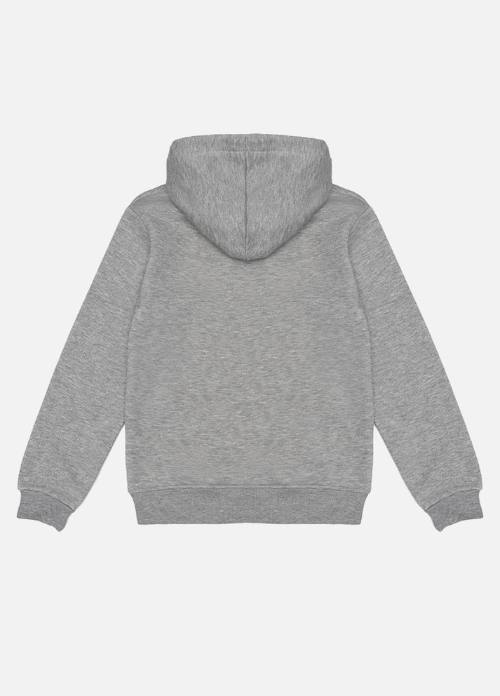 Худі для хлопчика колір сірий CB-00209718 Wanex (316136565)