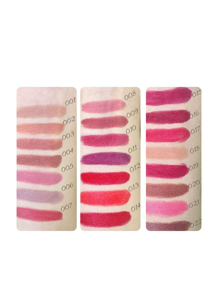 Помада для губ матовая Matte Lipstick Instyle PT155 № 02 Warm Honey Тёмно-бежевый TopFace (366038553)