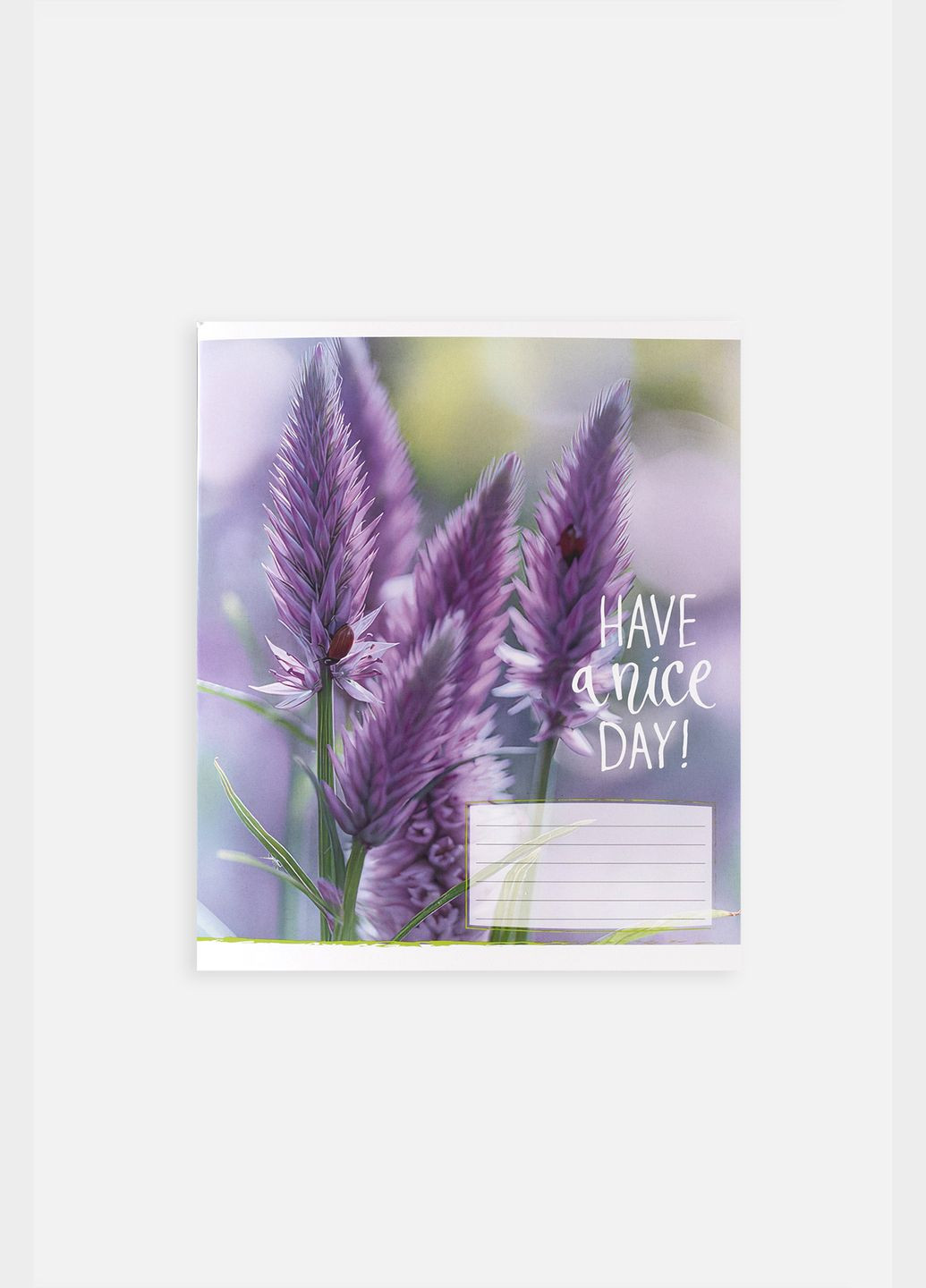 Зошит учнівський в лінію колір різнокольоровий CB-00255163 Фабрика Поліграфіст (319128049)