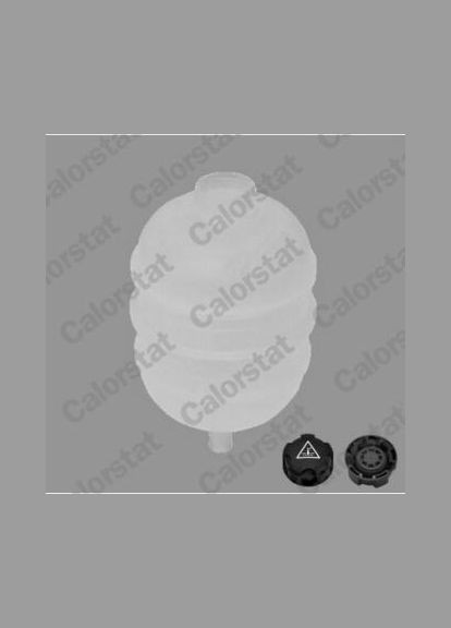 Бачок розширювальний Calorstat by Vernet (354760973)