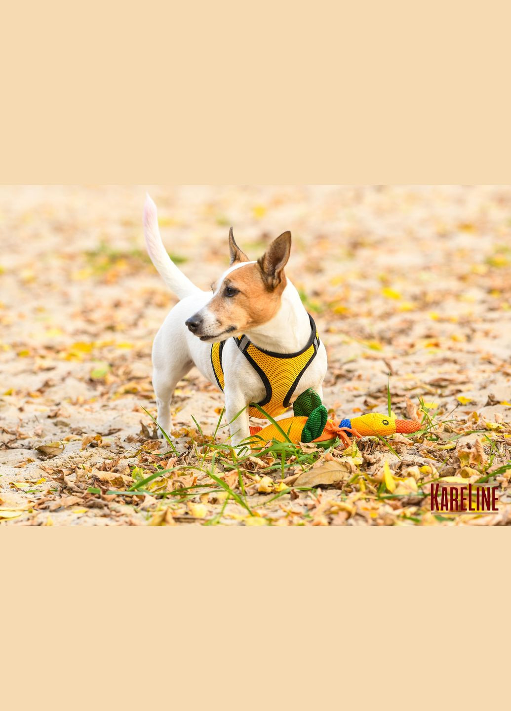 Шлей из сетчатого нейлона, с пластиковой пряжкой и светоотражающими элементами XS 255-280 мм Желтый Kareline (339075472)