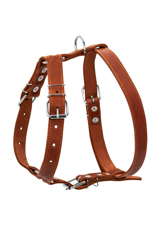 Шлея " " одинарна для середніх собак (ширина 25мм, А:49-68см, В:68-80см) коричневий Collar (326836060)