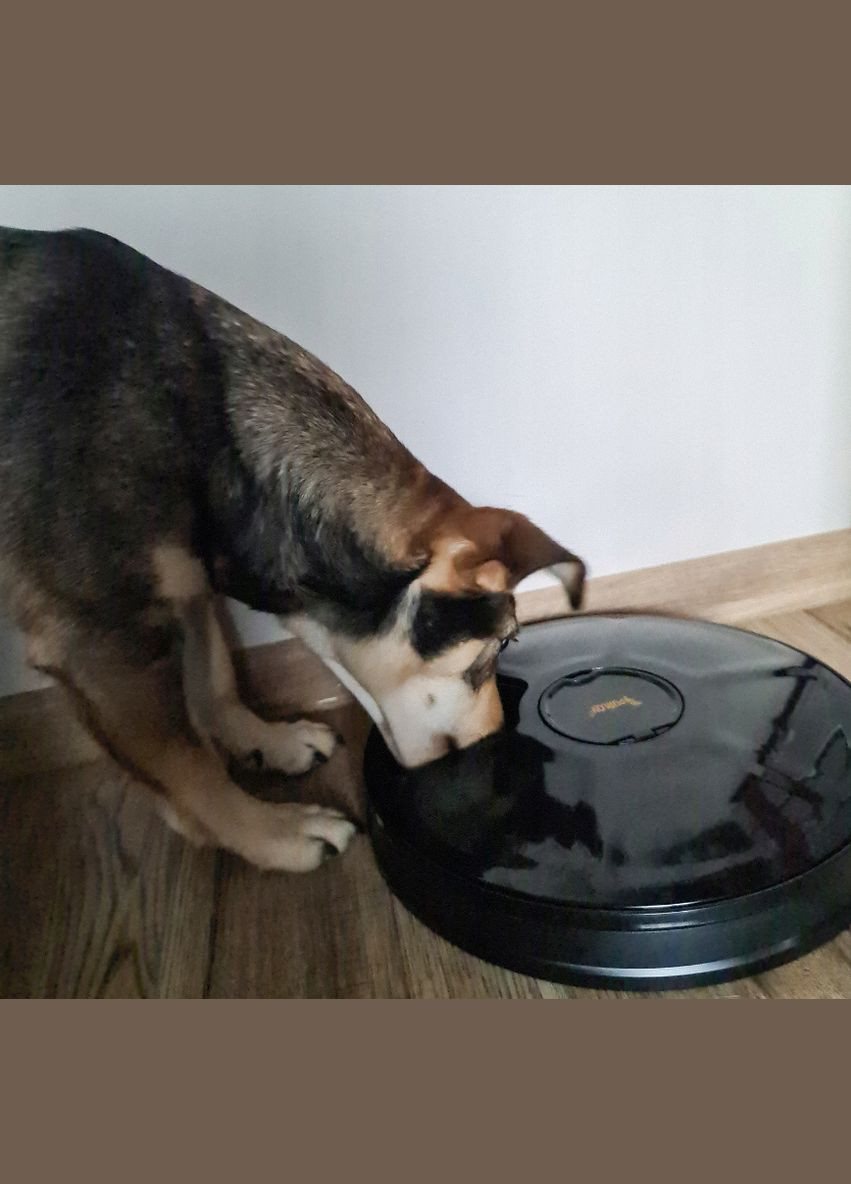 Автоматическая кормушка для котов и собак 0,9 л Purlov (340073062)