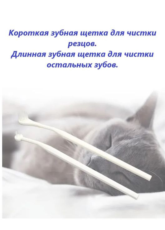 Набір для догляду за ротовою порожниною для котів (зубна паста + 2 щітки) No Brand (323231977)