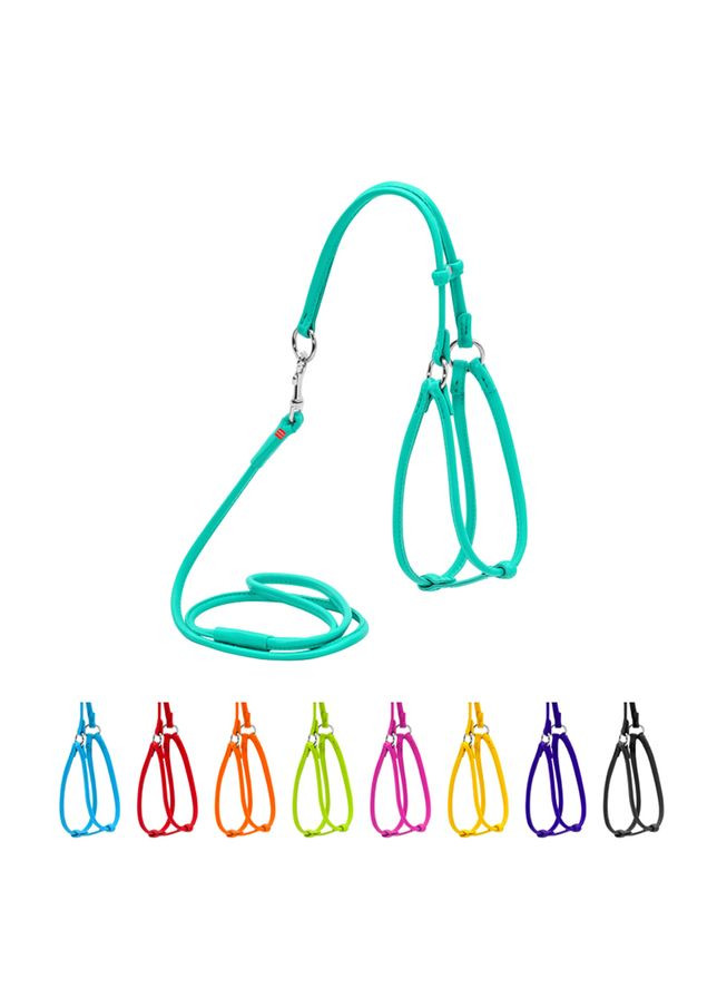 Шлея з повідцем для собак шкіряна Glamour з QR паспортом, кругла, Д 6 мм, А 26-46 см, В 30-50 см ментоловий WAUDOG (326836621)