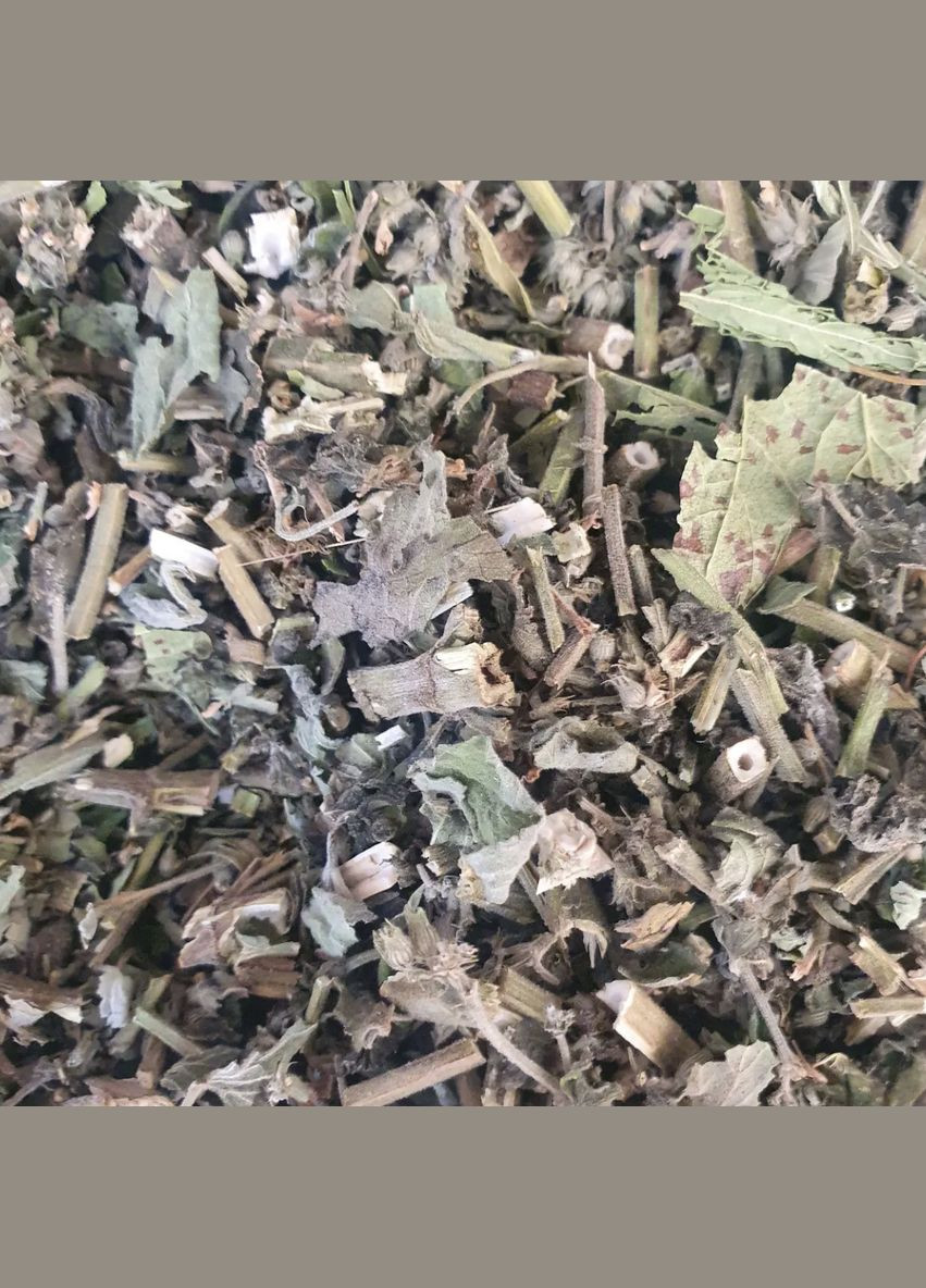 100 г котівник/котяча м'ята трава сушена - свіжий урожай No Brand (334348222)