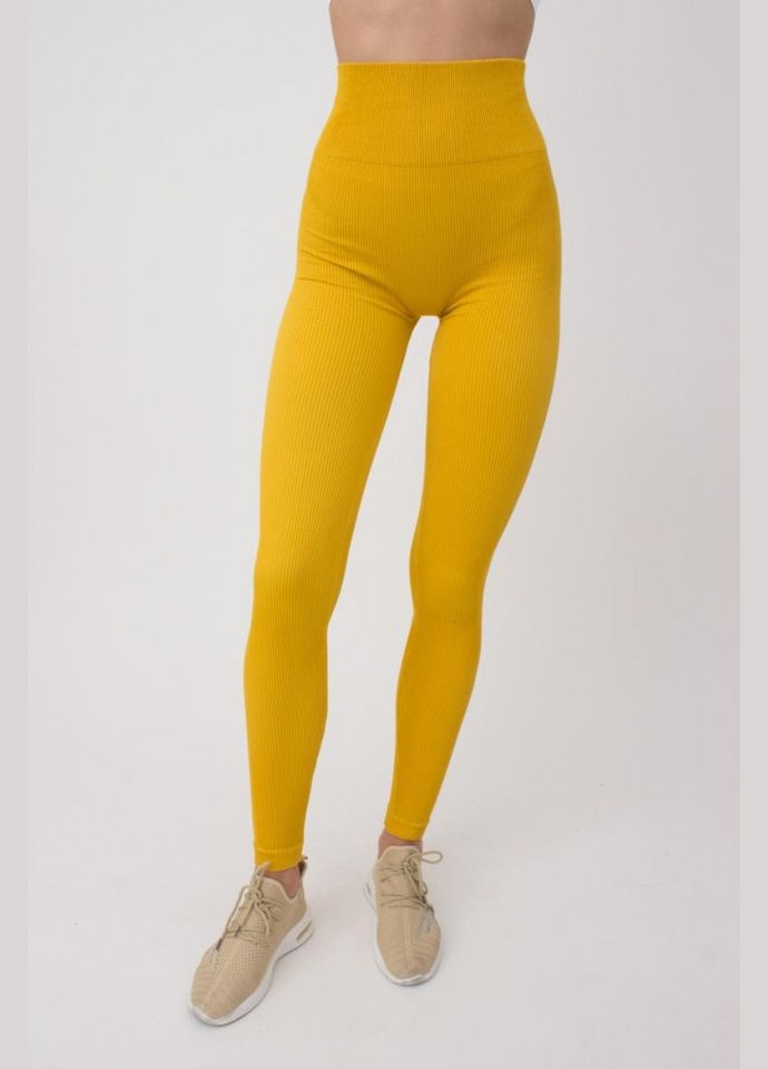 Легінси жіночі безшовні спортивні в рубчик Giulia LEGGINGS RIB (301384709)