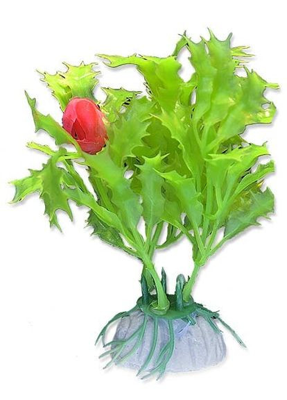 1B11 Штучна рослина, блістер, 10см Happet (360245403)