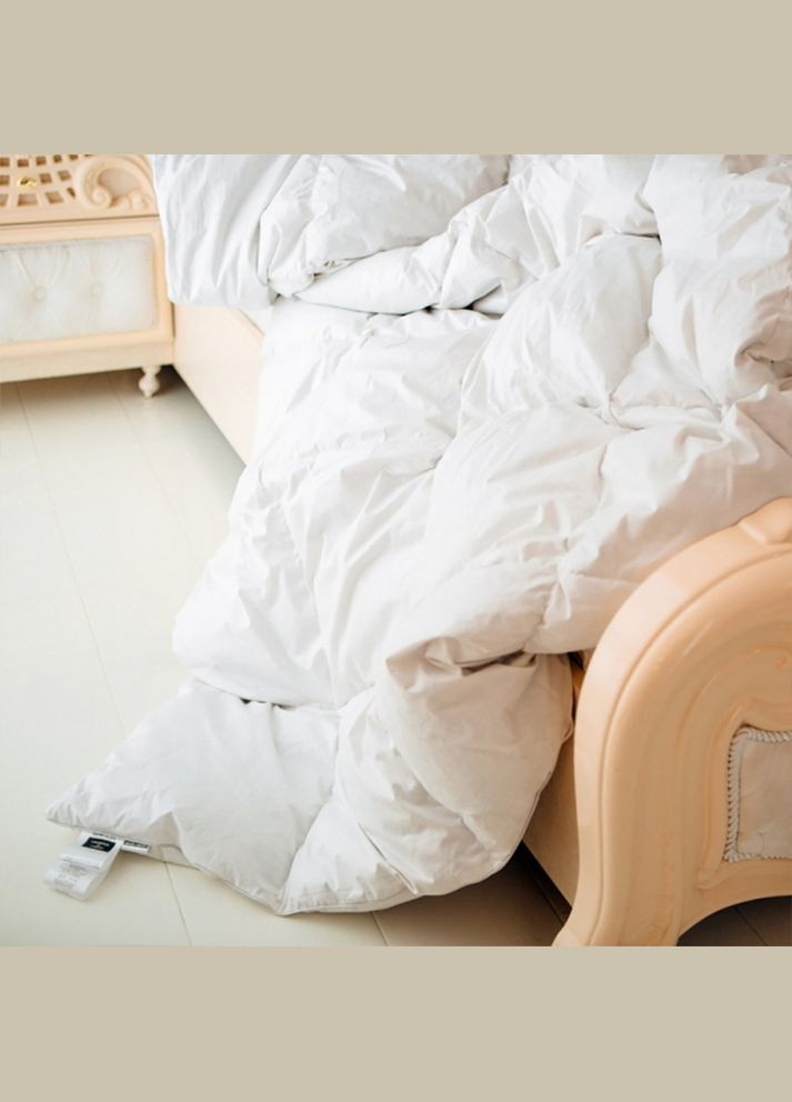 Ковдра Raffaello 053 зима+ 172x205 см 8061875 Mirson (316620449)