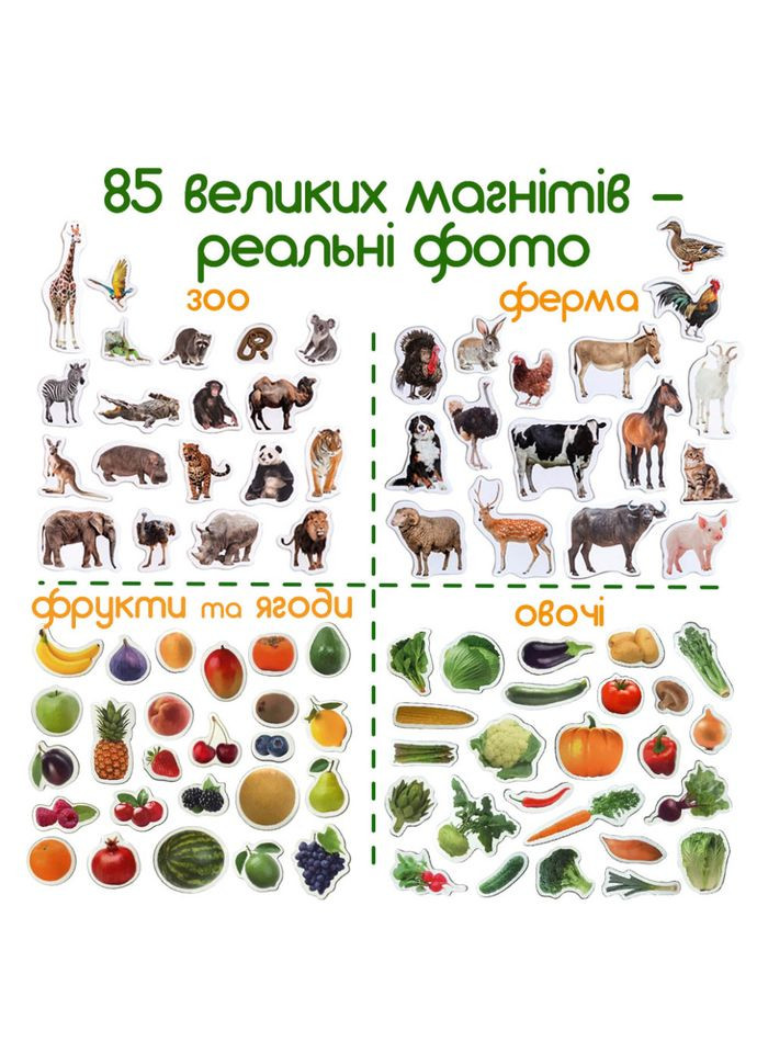 Набір магнітів "Дитячий світ" ML 4031-61 EN MAGDUM (334156631)