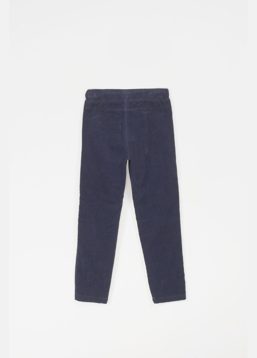 Синие зимние брюки Coccodrillo